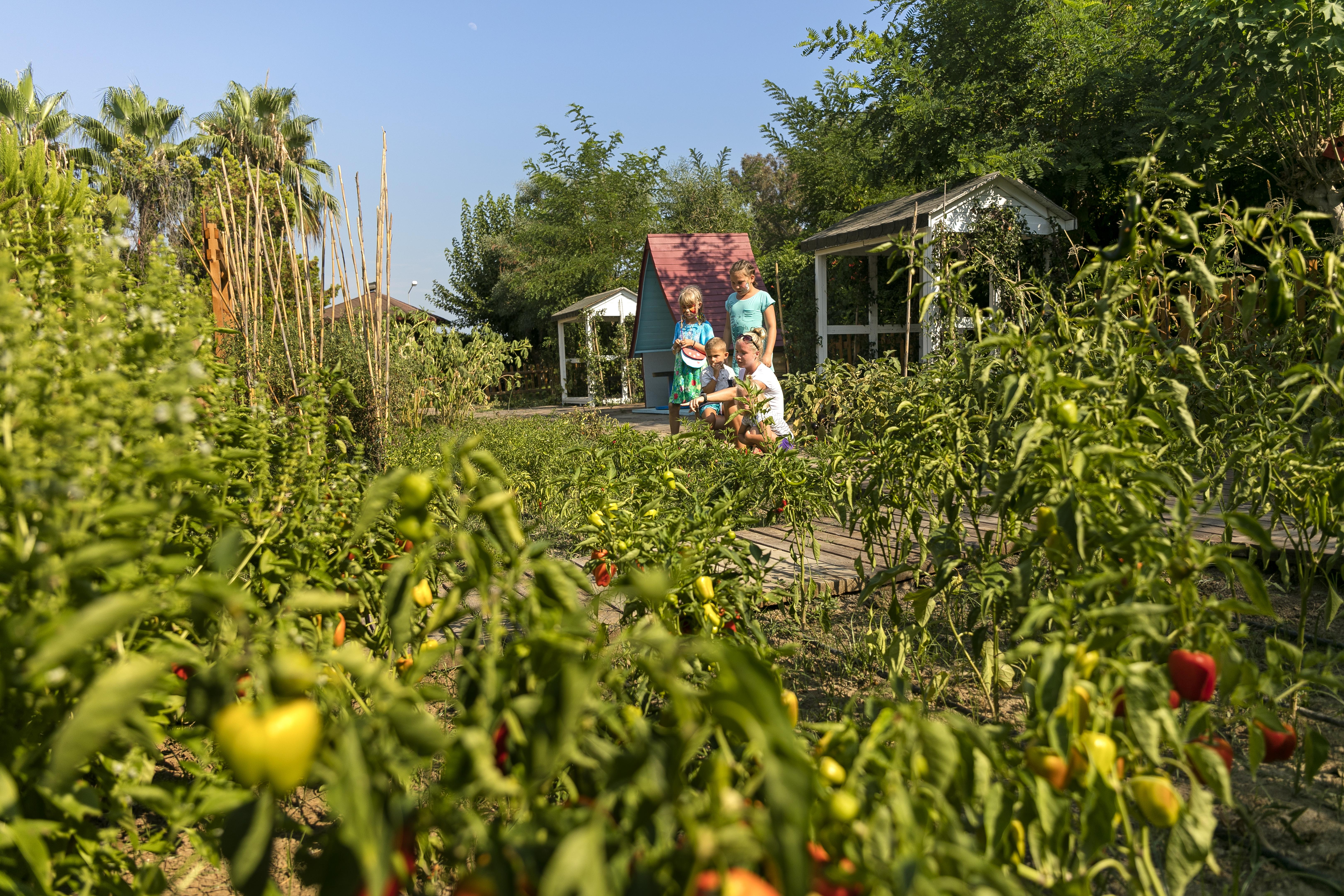 אתר נופש Marvida Family Eco סייד